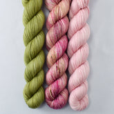 Fiddlehead, Gibson Girl, Sugar - Miss Babs Yowza Mini Trio