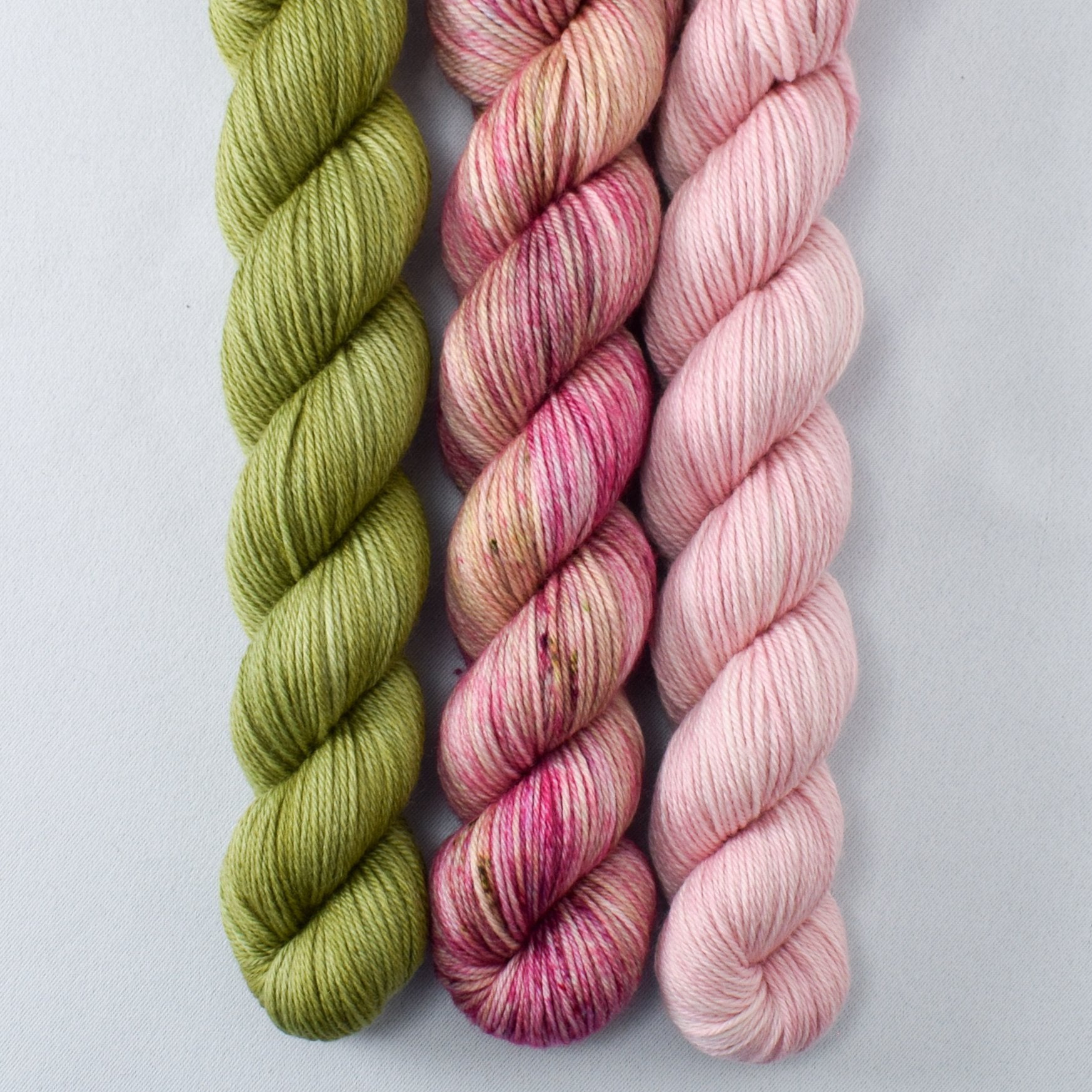 Fiddlehead, Gibson Girl, Sugar - Miss Babs Yowza Mini Trio