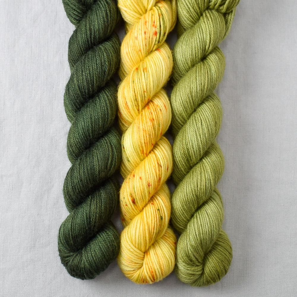 Fiddlehead, Nori, Tuscan Sun - Miss Babs Yowza Mini Trio