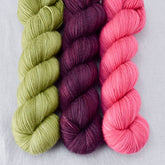 Fiddlehead, Plum, Sweet Pea - Miss Babs Yummy 2-Ply Trio