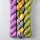 Fiddlehead, Salvia, Soul Food - Miss Babs Yowza Mini Trio