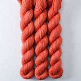 Fishscale - Miss Babs Yowza Mini superwash Merino wool yarn