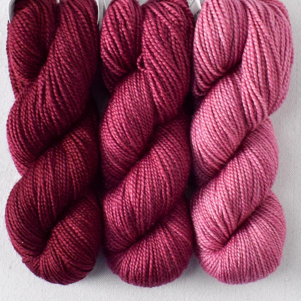Floral Fade Set: Dark Canis Major, Sirius, Furud - Miss Babs Toe Trio