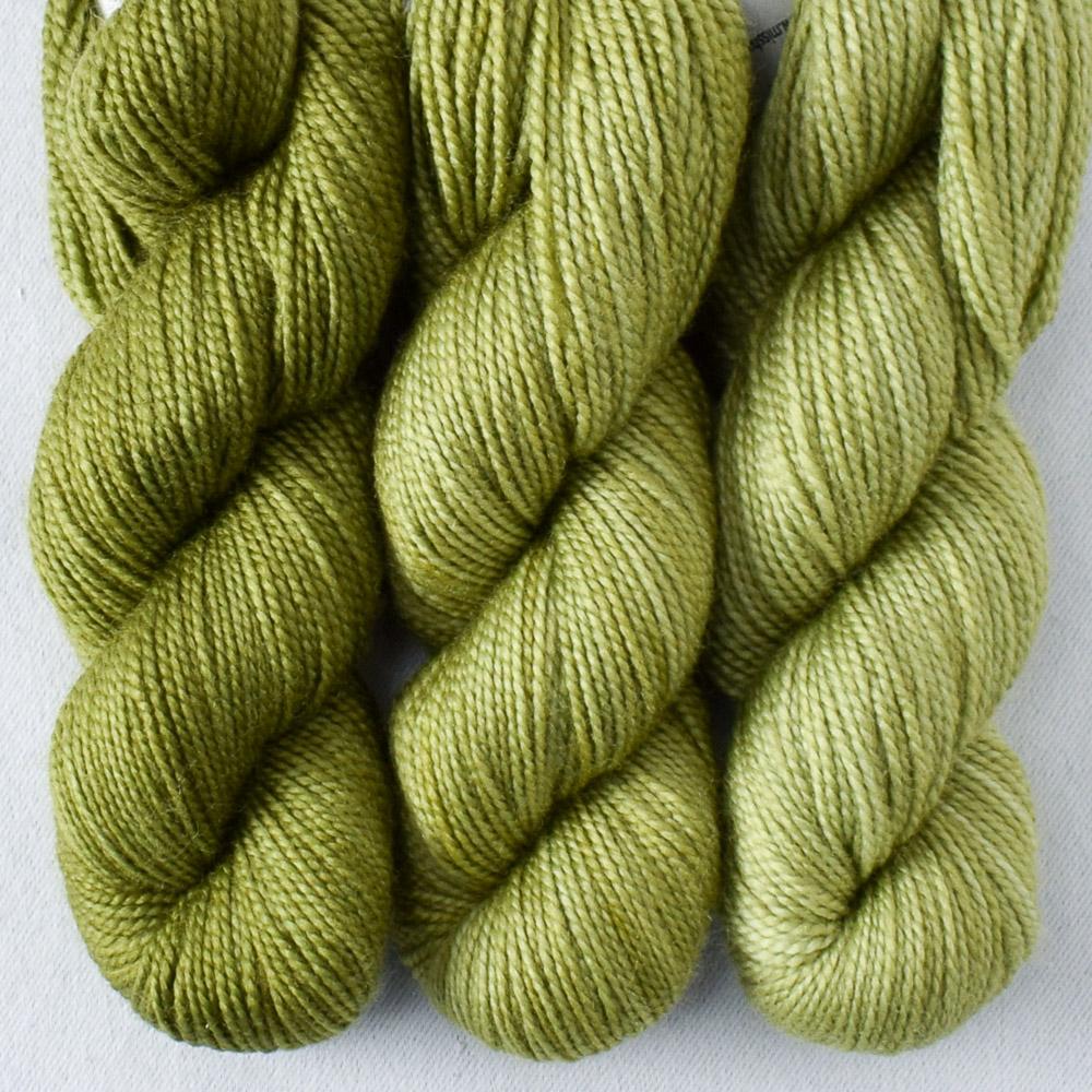 Floral Fade Set: Snakehead, Fiddlehead, Pastoral - Miss Babs Toe Trio