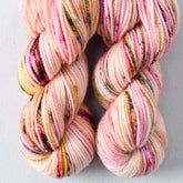 Flower Boxes - Miss Babs Yummy 2-Ply Toes superwash Merino wool yarn