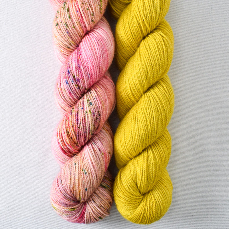 Flower Boxes, Long Walk - Miss Babs 2-Ply Duo