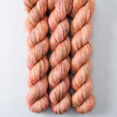 Flower Boxes - Miss Babs Katahdin 437 superwash BFL wool yarn