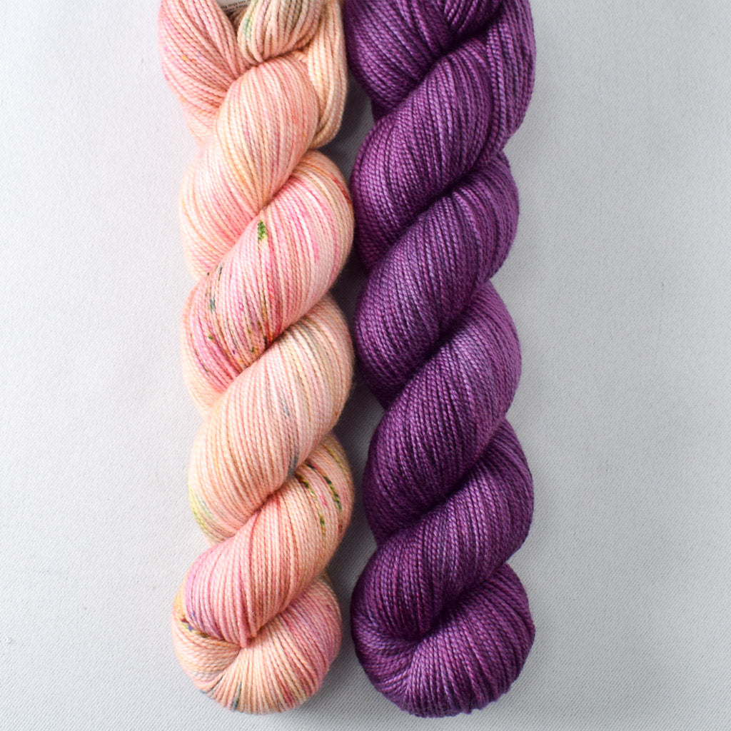 Flower Boxes, Spiked Punch - Miss Babs 2-Ply Duo