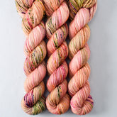 Flower Boxes - Miss Babs Yowza Mini superwash Merino wool yarn