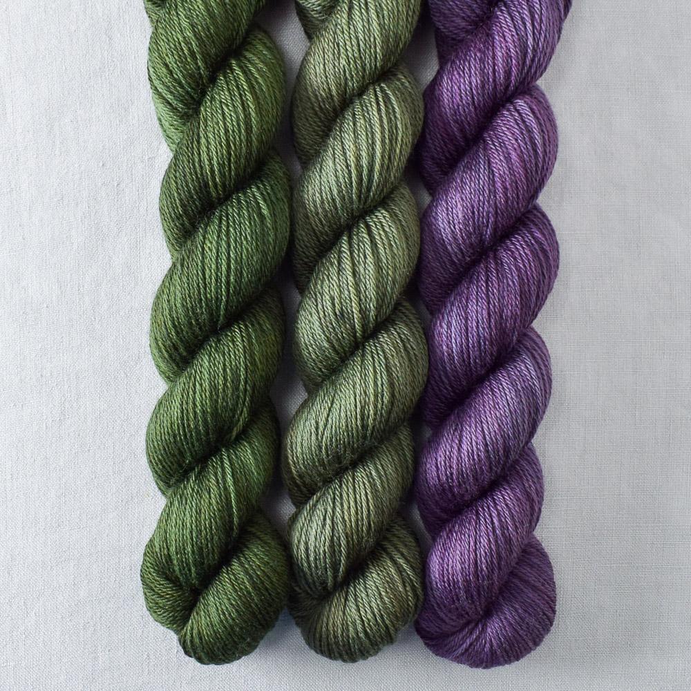 Focus, Fortify, Rejuvenate - Miss Babs Yowza Mini Trio