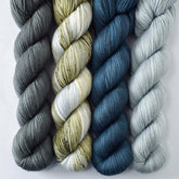 Fogbound, Migration, Mamaku, Spiny - Miss Babs Yummy 2-Ply Quartet