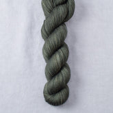 Fortify - Miss Babs Yummy 2-Ply superwash Merino wool yarn