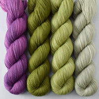 Frasquita, Leaves, Snakehead, Thyme - Miss Babs Yummy 2-Ply Quartet