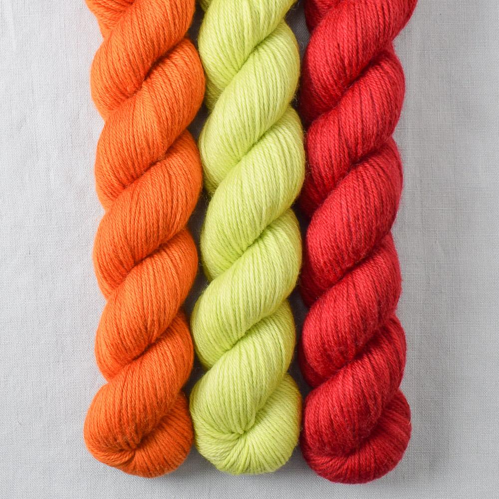 French Marigold, Ginkgo, Scarlet Letter - Miss Babs Yowza Mini Trio