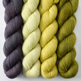 Frog Belly, Lurch, Moss, Pistachio Power - Miss Babs Avon Quartet