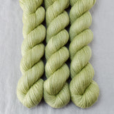 Frog Belly - Miss Babs Yet yarn