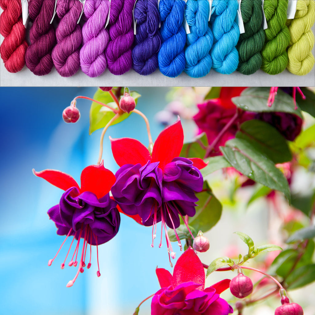 Fuchsia Basket - Crown Wools Set