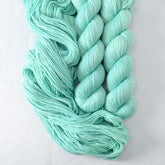 Garden Mist - Miss Babs Yummy 2-Ply superwash Merino wool yarn