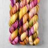 Garden Party - Miss Babs Yowza Mini superwash Merino wool yarn