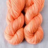 Gateway - Miss Babs Yummy 2-Ply Toes superwash Merino wool yarn