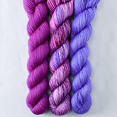 Gentian, Purple Mountains, Violaceous - Miss Babs Yowza Mini Trio