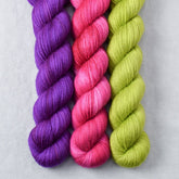 Ghoulish, Hot to Trot, Violaceous - Miss Babs Yowza Mini Trio