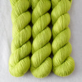 Ghoulish - Miss Babs Katahdin 437 superwash BFL wool yarn