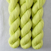 Ginkgo - Miss Babs Putnam Merino wool and nylon sock yarn