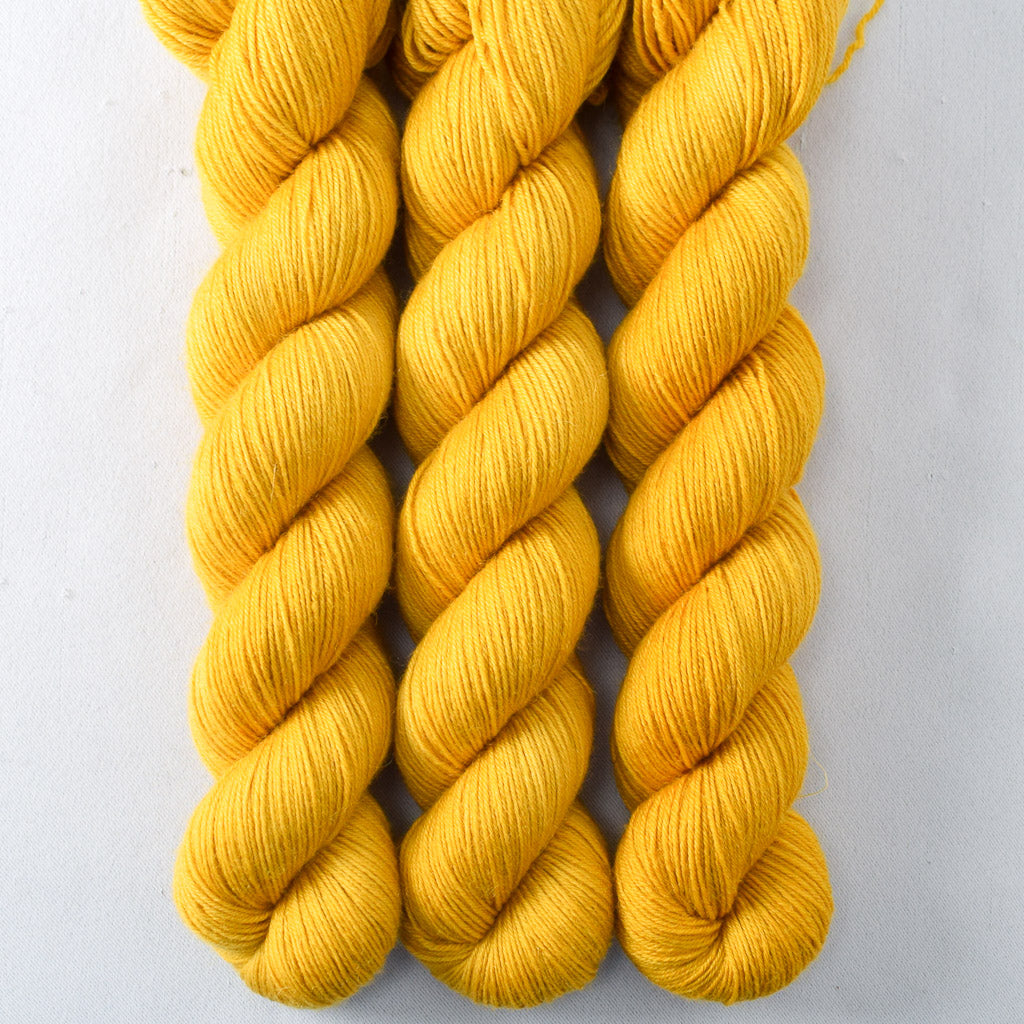 Goldenrod - Miss Babs Katahdin 437 superwash BFL wool yarn