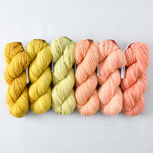 Fingering Mini Skein Gradient Set – The Knitting Lounge