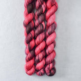 Gotta Love Me - Miss Babs Sojourn cashmere and silk yarn