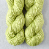 Heading Home - Miss Babs Yummy 2-Ply Toes superwash Merino wool yarn