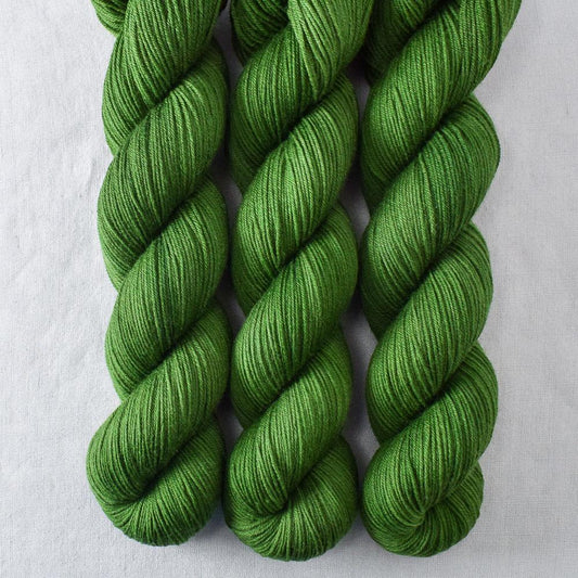 Herbalist - Miss Babs Putnam yarn