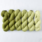 Herb Garden - Gradient Set