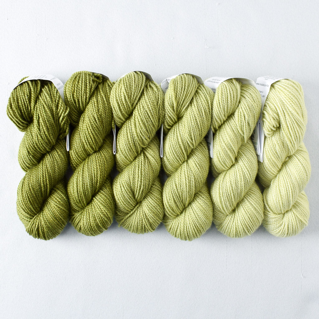 Herb Garden - Gradient Set