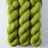 Hops - Miss Babs Yummy 2-Ply superwash Merino wool yarn