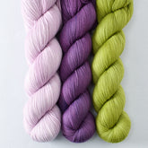 Hops, Pleione, Spiked Punch - Miss Babs Avon Trio