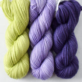 Iantha, Orchid, Dark Pleiades - Miss Babs Toe Trio