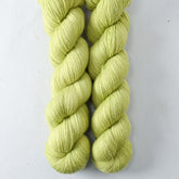 Iantha Partial Skeins - Miss Babs Katahdin yarn