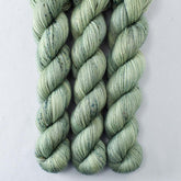 In the Meadow - Miss Babs Katahdin 437 superwash BFL wool yarn