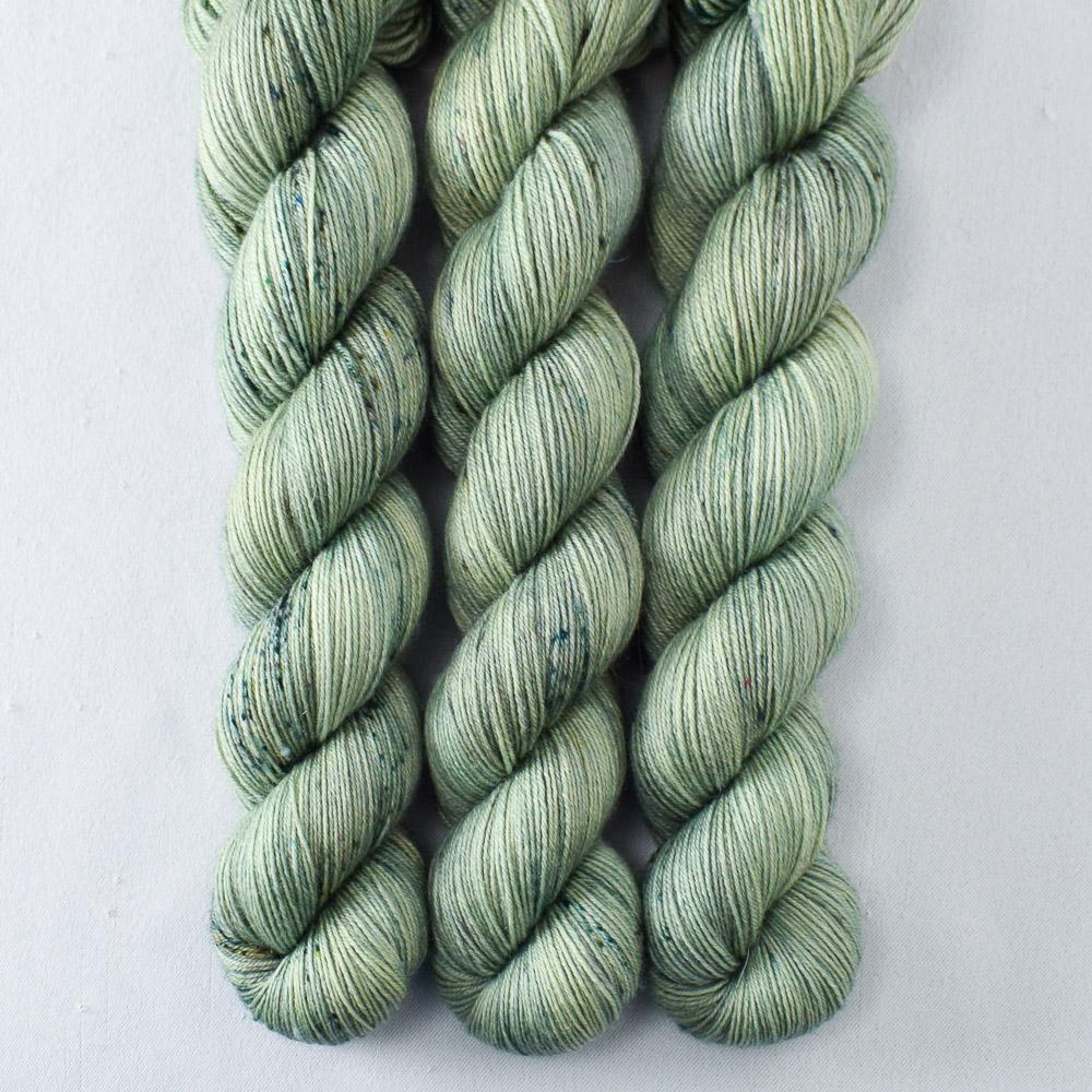 In the Meadow - Miss Babs Katahdin 437 superwash BFL wool yarn
