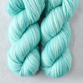 Jade Vine - Miss Babs Yummy 2-Ply Toes superwash Merino wool yarn