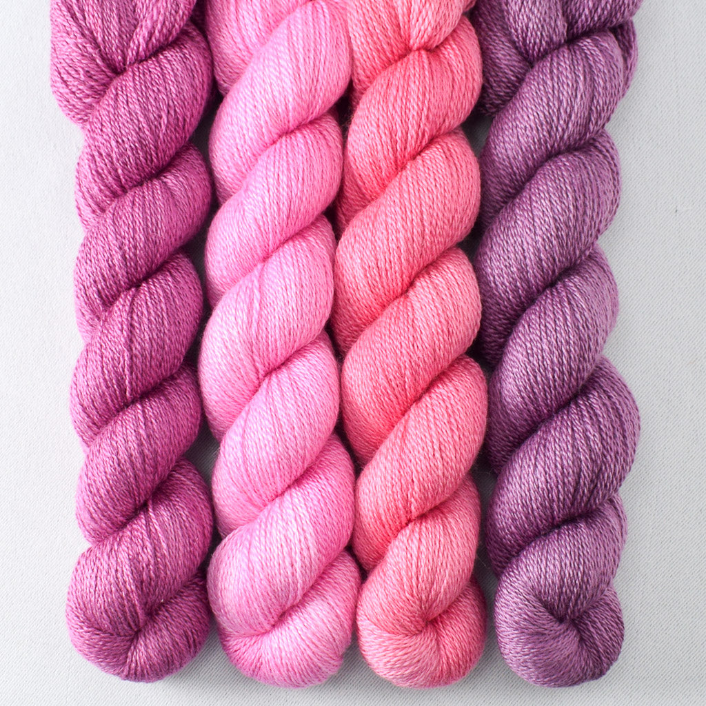 Japanese Maple, Ruchbah, Sanderiana, Sweet Pea - Miss Babs Yet Quartet