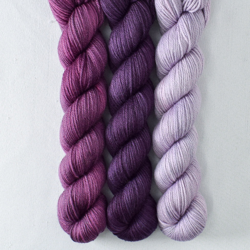 Japanese Maple, Sagrada, Valiant Grapes - Miss Babs Yowza Mini Trio