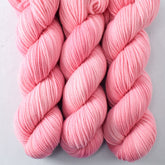 Kitten's Nose - Miss Babs Intrepid yarn