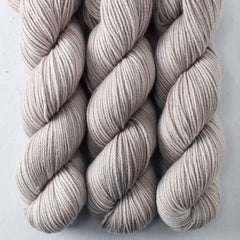 Lace Murex - Intrepid