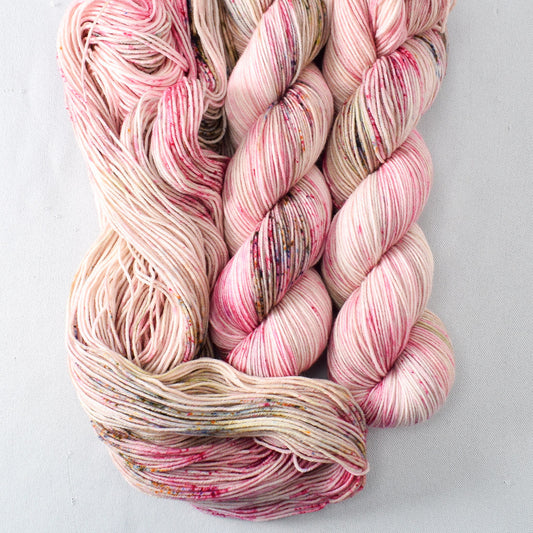 Last Rose of Summer - Miss Babs Putnam yarn