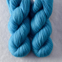 Lazuli Bunting - Miss Babs 2-Ply Toes yarn