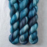 Let's Do This - Miss Babs Katahdin 437 superwash BFL wool yarn