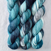 Lets Do This - Miss Babs Putnam Merino wool and nylon sock yarn